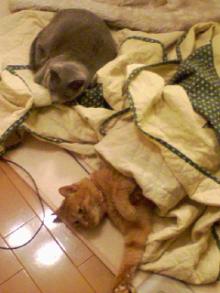 ＥＶＥ－舎　Ｄｉａｒｙ