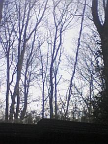 ＥＶＥ－舎　Ｄｉａｒｙ