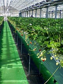 ＥＶＥ－舎　Ｄｉａｒｙ