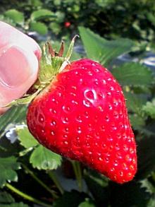 ＥＶＥ－舎　Ｄｉａｒｙ