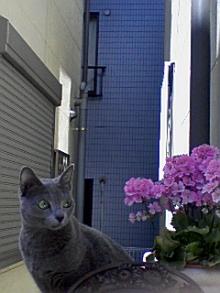 ＥＶＥ－舎　Ｄｉａｒｙ