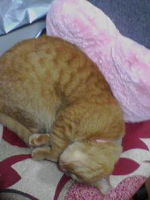 ＥＶＥ－舎　Ｄｉａｒｙ