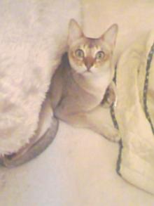 ＥＶＥ－舎　Ｄｉａｒｙ