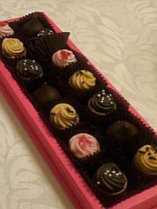 ＥＶＥ－舎　Ｄｉａｒｙ