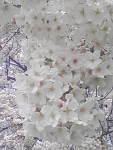 ＥＶＥ－舎　Ｄｉａｒｙ