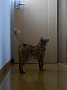 ＥＶＥ－舎　Ｄｉａｒｙ