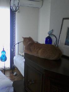 ＥＶＥ－舎　Ｄｉａｒｙ