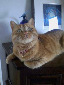 ＥＶＥ－舎　Ｄｉａｒｙ