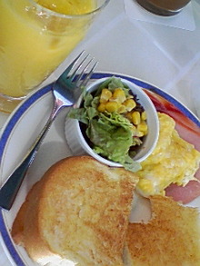 ＥＶＥ－舎　Ｄｉａｒｙ