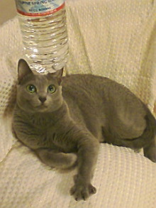 ＥＶＥ－舎　Ｄｉａｒｙ