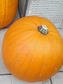 ＥＶＥ－舎　Ｄｉａｒｙ