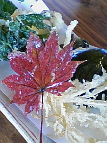 ＥＶＥ－舎　Ｄｉａｒｙ