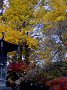 ＥＶＥ－舎　Ｄｉａｒｙ