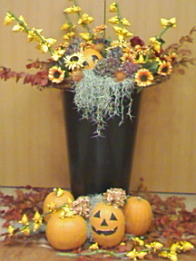 ＥＶＥ－舎　Ｄｉａｒｙ