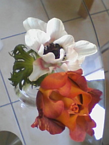 ＥＶＥ－舎　Ｄｉａｒｙ